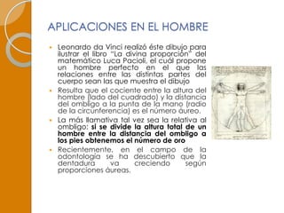 APLICACIONES EN EL HOMBRE
 Leonardo da Vinci realizó éste dibujo para
  ilustrar el libro “La divina proporción” del
  matemático Luca Pacioli, el cuál propone
  un hombre perfecto en el que las
  relaciones entre las distintas partes del
  cuerpo sean las que muestra el dibujo
 Resulta que el cociente entre la altura del
  hombre (lado del cuadrado) y la distancia
  del ombligo a la punta de la mano (radio
  de la circunferencia) es el número áureo.
 La más llamativa tal vez sea la relativa al
  ombligo: si se divide la altura total de un
  hombre entre la distancia del ombligo a
  los pies obtenemos el número de oro
 Recientemente, en el campo de la
  odontología se ha descubierto que la
  dentadura         va     creciendo    según
  proporciones áureas.
 