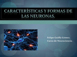 Felipe Guiffa Gómez.
Curso de Neurociencia.
 