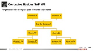 Conceptos Básicos SAP MM
Organización de Compras para todas las sociedades
Centro 1A
Almacen 1A
Repuestos
Almacen 2A
Producto terminado
Org. De Compras A
Sociedad A
Centro 2A
Almacen 1A
Producto terminado
Almacen 2A
Materia prima
Sociedad B
 