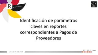 Identificación de parámetros
claves en reportes
correspondientes a Pagos de
Proveedores
 