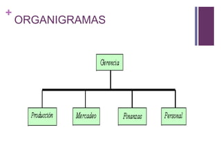 + 
ORGANIGRAMAS 
 