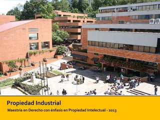 Propiedad Industrial
Maestría en Derecho con énfasis en Propiedad Intelectual - 2013
 