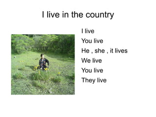 I live in the country I live  