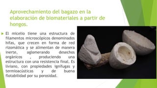 aprovechamiento de residuos de maguey para producir biomateriales | PPTX