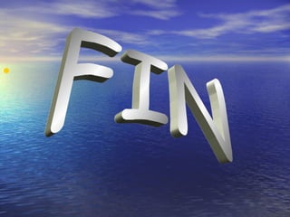 FIN