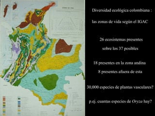 Presentación daniel debouck casa abierta ciat 2013