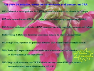 Presentación daniel debouck casa abierta ciat 2013