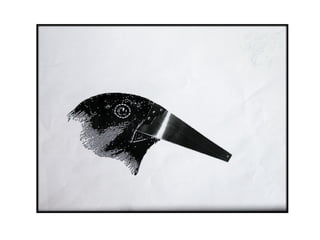 Presentación Darwin