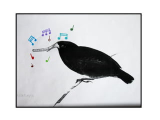 Presentación Darwin