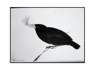 Presentación Darwin