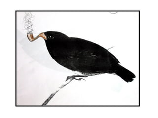 Presentación Darwin