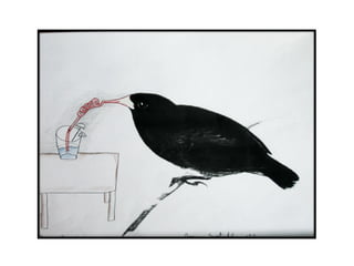 Presentación Darwin