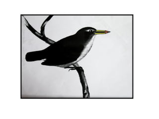 Presentación Darwin