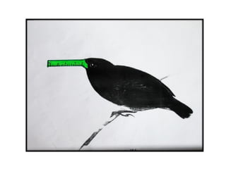 Presentación Darwin