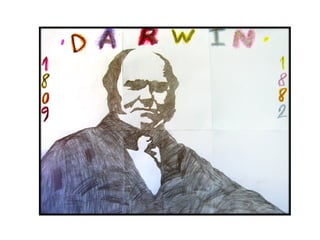 Presentación Darwin