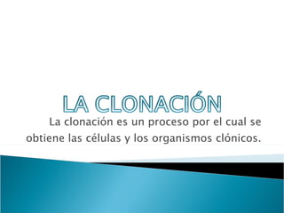 La clonación es un proceso por el cual se obtiene las células y los organismos clónicos. 