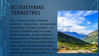 ECOSISTEMAS
TERRESTRES
Hay 3 zonas grandes climáticas
terrestres . Zonas frías , se desarrollan
ecosistemas de hielo o polares , en
los que la biodiversidad es escasa .
Zonas templadas sé desarrollan en
bosques como el bosque Atlántico o
caducifolio y el bosque mediterráneo .
Zonas cálidas hay ecosistemas muy
variados . Encontramos desiertos , con
una biodiversidad baja debido a la
 