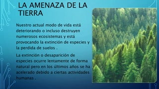 LA AMENAZA DE LA
TIERRA
Nuestro actual modo de vida está
deteriorando o incluso destruyen
numerosos ecosistemas y está
provocando la extinción de especies y
la perdida de suelos .
La extinción o desaparición de
especies ocurre lentamente de forma
natural pero en los últimos años se ha
acelerado debido a ciertas actividades
humanas .
 