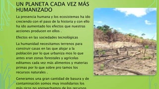 UN PLANETA CADA VEZ MÁS
HUMANIZADO
La presencia humana y los ecosistemas ha ido
creciendo con el paso de la historia y con ello
ha ido aumentado los efectos que nuestras
acciones producen en ellos .
Efectos en las sociedades tecnológicas
La humanidad necesitamos terrenos para
construir casas en las que alojar a la
población por lo que urbaniza mos lo que
antes eran zonas forestales y agrícolas
editamos cada vez más alimentos y materias
primas por lo que sobre pro tamos los
recursos naturales .
Generamos una gran cantidad de basura y de
contaminación somos muy insolidarios los
 