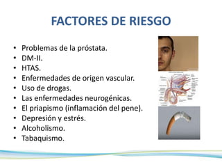 FACTORES DE RIESGO
• Problemas de la próstata.
• DM-II.
• HTAS.
• Enfermedades de origen vascular.
• Uso de drogas.
• Las enfermedades neurogénicas.
• El priapismo (inflamación del pene).
• Depresión y estrés.
• Alcoholismo.
• Tabaquismo.