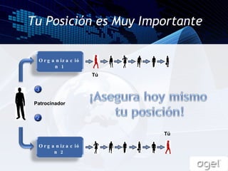 Organización 1 Patrocinador Tú Tú Tu Posición es Muy Importante Organización 2 