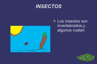INSECTOS
➲ Los insectos son
invertebrados,y
algunos vuelan
 