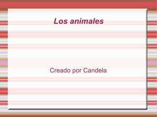 Los animales
Creado por Candela
