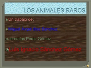 LOS ANIMALES RAROS Un trabajo de: Miguel Ángel días Sánchez Jeremías Pérez Gómez  Luis Ignacio Sánchez Gómez 