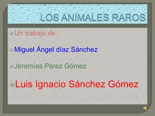 LOS ANIMALES RAROS Un trabajo de : Miguel Ángel díaz Sánchez Jeremías Pérez Gómez  Luis Ignacio Sánchez Gómez 