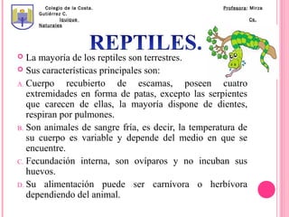 Colegio de la Costa.                         Profesora: Mirza
     Gutiérrez C.
              Iquique                                         Cs.
     Naturales




  La mayoría de los reptiles son terrestres.
 Sus características principales son:

A. Cuerpo     recubierto de escamas, poseen cuatro
   extremidades en forma de patas, excepto las serpientes
   que carecen de ellas, la mayoría dispone de dientes,
   respiran por pulmones.
B. Son animales de sangre fría, es decir, la temperatura de
   su cuerpo es variable y depende del medio en que se
   encuentre.
C. Fecundación interna, son ovíparos y no incuban sus
   huevos.
D. Su alimentación puede ser carnívora o herbívora
   dependiendo del animal.
 