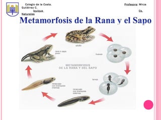 Colegio de la Costa.   Profesora: Mirza
Gutiérrez C.
         Iquique                   Cs.
Naturales
 
