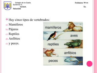 Colegio de la Costa.         Profesora: Mirza
        Gutiérrez C.
                 Iquique                         Cs.
        Naturales




    Hay cinco tipos de vertebrados:
a)   Mamíferos
b)   Pájaros
c)   Reptiles
d)   Anfibios
e)   y peces.
 