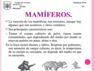 Colegio de la Costa.                          Profesora: Mirza
     Gutiérrez C.
              Iquique                                          Cs.
     Naturales




  La mayoría de los mamíferos son terrestres, aunque hay
   algunos que son acuáticos, y otros voladores.
 Sus principales características son:

A. Tienen el cuerpo cubierto de pelos, tienen cuatro
   extremidades, que dependiendo del medio por donde se
   muevan podrán ser patas, aletas o alas.
En la boca tienen dientes y labios. Respiran por pulmones,
   son animales de sangre caliente, es decir, la temperatura
   de su cuerpo es constante, no depende del medio en que
   se encuentre.
 