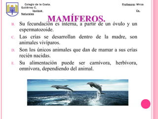 Colegio de la Costa.                       Profesora: Mirza
     Gutiérrez C.
              Iquique                                       Cs.
     Naturales



B.   Su fecundación es interna, a partir de un óvulo y un
     espermatozoide.
C.   Las crías se desarrollan dentro de la madre, son
     animales vivíparos.
D.   Son los únicos animales que dan de mamar a sus crías
     recién nacidas.
E.   Su alimentación puede ser carnívora, herbívora,
     omnívora, dependiendo del animal.
 