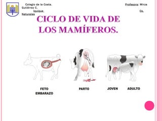 Colegio de la Costa.   Profesora: Mirza
Gutiérrez C.
         Iquique                   Cs.
Naturales
 