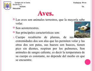 Colegio de la Costa.                          Profesora: Mirza
Gutiérrez C.
         Iquique                                          Cs.
Naturales




  Las aves son animales terrestres, que la mayoría sabe
   volar.
 Son aeroterrestres.

 Sus principales características son:

A. Cuerpo recubierto de plumas, de sus cuatro
   extremidades dos son alas que les permiten volar y las
   otras dos son patas, sus huesos son huecos, tienen
   pico sin dientes, respiran por los pulmones, Son
   animales de sangre caliente, es decir la temperatura de
   su cuerpo es constante, no depende del medio en que
   se encuentre.
 