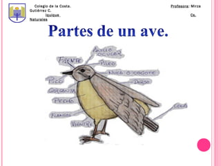 Colegio de la Costa.   Profesora: Mirza
Gutiérrez C.
         Iquique                   Cs.
Naturales
 