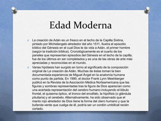 Edad Moderna
O La creación de Adán es un fresco en el techo de la Capilla Sixtina,
pintado por Michelangelo alrededor del año 1511. Ilustra el episodio
bíblico del Génesis en el cual Dios le da vida a Adán, el primer hombre
(según la tradición bíblica). Cronológicamente es el cuarto de los
paneles que representan episodios del Génesis en el techo de la capilla,
fue de los últimos en ser completados y es una de las obras de arte más
apreciadas y reconocidas en el mundo.
O Varias hipótesis han surgido en torno al significado de la composición
original de La creación de Adán. Muchas de éstas toman la bien
documentada experiencia de Miguel Ángel en la anatomía humana
como punto de partida. En 1990, el doctor Frank Lynn Meshberger
publicó en la Revista de la Asociación Médica Norteamericana que las
figuras y sombras representadas tras la figura de Dios aparecían como
una acertada representación del cerebro humano incluyendo el lóbulo
frontal, el quiasma óptico, el tronco del encéfalo, la hipófisis (o glándula
pituitaria) y el cerebelo. Alternativamente, ha sido observado que el
manto rojo alrededor de Dios tiene la forma del útero humano y que la
bufanda verde que cuelga de él, podría ser un cordón umbilical recién
cortado.
 
