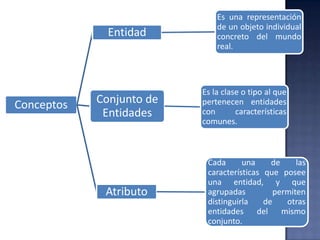 Conceptos
Entidad
Es una representación
de un objeto individual
concreto del mundo
real.
Conjunto de
Entidades
Es la clase o tipo al que
pertenecen entidades
con características
comunes.
Atributo
Cada una de las
características que posee
una entidad, y que
agrupadas permiten
distinguirla de otras
entidades del mismo
conjunto.
 
