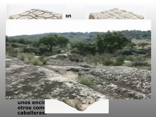 Los granitos forman relieves que son fáciles de reconocer: Son resistentes a la meteorización física, pero no a la química. Tienen muchas grietas o diaclasas, que están colocadas horizontal y verticalmente. Los bolos en disposición caótica son reconocidos como berrocales y unos encima de otros como piedras caballeras. 