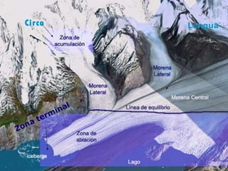 Circo Lengua Zona terminal 