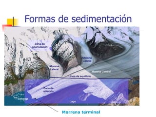 Formas de sedimentación Morrena lateral:  a los lados de la lengua del glaciar Morrena central:  cuando se unen 2 o más lenguas y se unen las morrenas laterales.  Morrena terminal : esta en el frente del glaciar Morrena terminal 