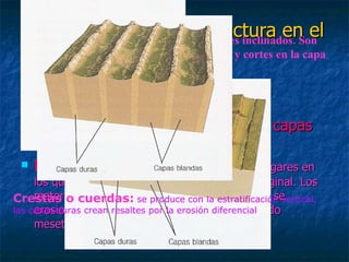 11 Influencia de la estructura en el relieve Disposición de la estratificación:  la formación de muchos relieves es favorecida por la alternancia entre capas duras y blandas Llanura estructural:  se forman en los lugares en los que los estratos mantienen su posición original. Los materiales duros protegen a los blandos, pero se erosiona las zonas blandas fácilmente formando mesetas, mesas o cerros testigo. Relieve en cuesta:  se forman en lugares inclinados. Son  relieves asimétrico con laderas suaves y cortes en la capa  superior.   Crestas o cuerdas:   se produce con la estratificación vertical,  las capas duras crean resaltes por la erosión diferencial 