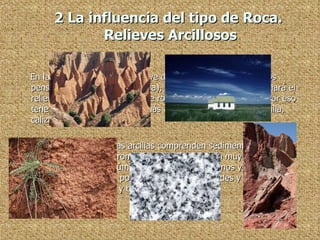 2 La influencia del tipo de Roca.  Relieves Arcillosos En las rocas se moldea el relieve de la tierra. Por eso debemos pensar en litología (tipo de roca), para saber que Formas tomará el relieve dependiendo del tipo de roca que nos encontremos. Por eso tenemos 3 tipos de roca, las más abundantes en España: arcilla, caliza y granito. Relieves arcilloso:  las arcillas comprenden sedimentos y rocas sedimentarias que se rompen con facilidad y son muy fáciles de erosionar. En climas húmedos surgen relieves llanos y bajos, muy suaves. En climas con poca vegetación, las grandes y abundantes lluvias crean cárcavas y barrancos. 