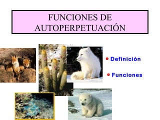 FUNCIONES DE AUTOPERPETUACIÓN Definición Funciones 