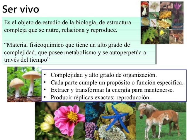 Introducción a la Biología