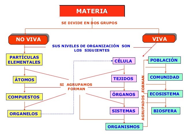 Caracteristicas De La Materia No Viva
