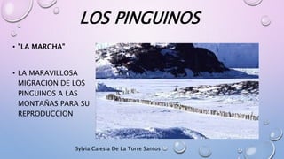 LOS PINGUINOS
• "LA MARCHA"
• LA MARAVILLOSA
MIGRACION DE LOS
PINGUINOS A LAS
MONTAÑAS PARA SU
REPRODUCCION
Sylvia Calesia De La Torre Santos
 