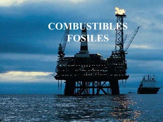 COMBUSTIBLES FOSILES 
