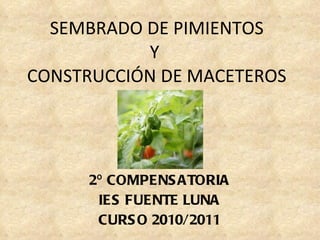 SEMBRADO DE PIMIENTOS Y  CONSTRUCCIÓN DE MACETEROS 2º COMPENSATORIA IES FUENTE LUNA CURSO 2010/2011 